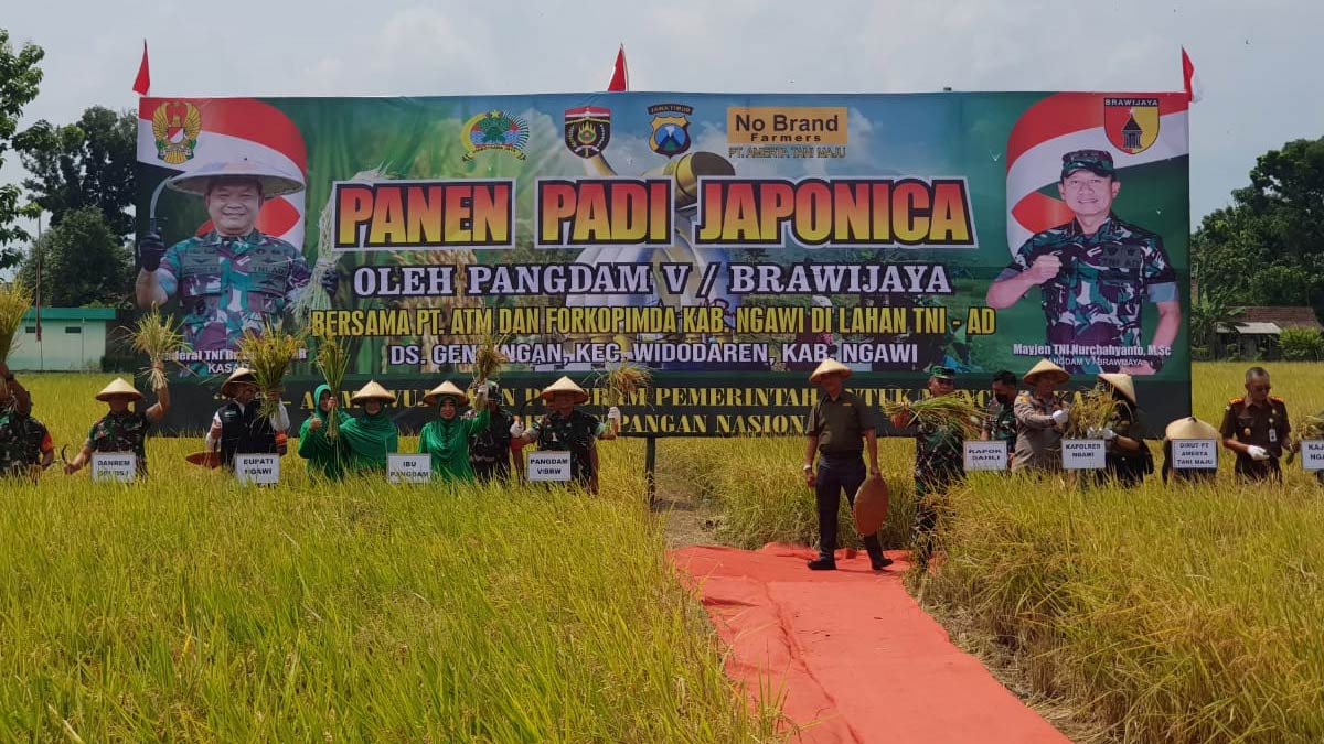 Dampingi Pangdam V Brawijaya Panen Padi Di Widodaren Bupati Ony