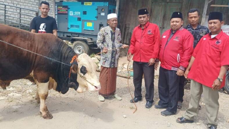 DPD PDI Perjuangan Jatim Salurkan 34 Sapi Kurban Ke Sejumlah Kabupaten