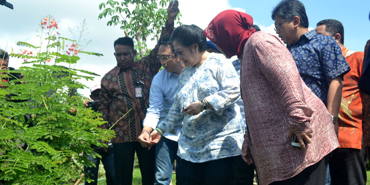 pdip-jatim-mega-risma-di-taman-harmoni