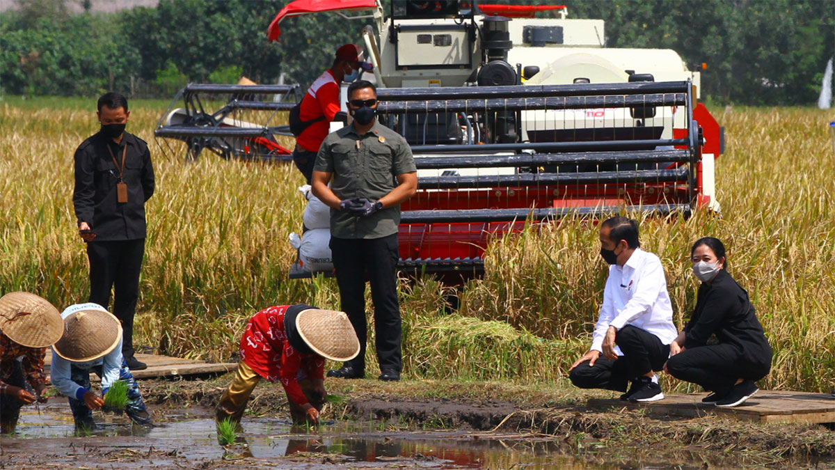 Petani Kanigoro Malang Butuh Mesin Panen, Jokowi: Akan Kita Penuhi