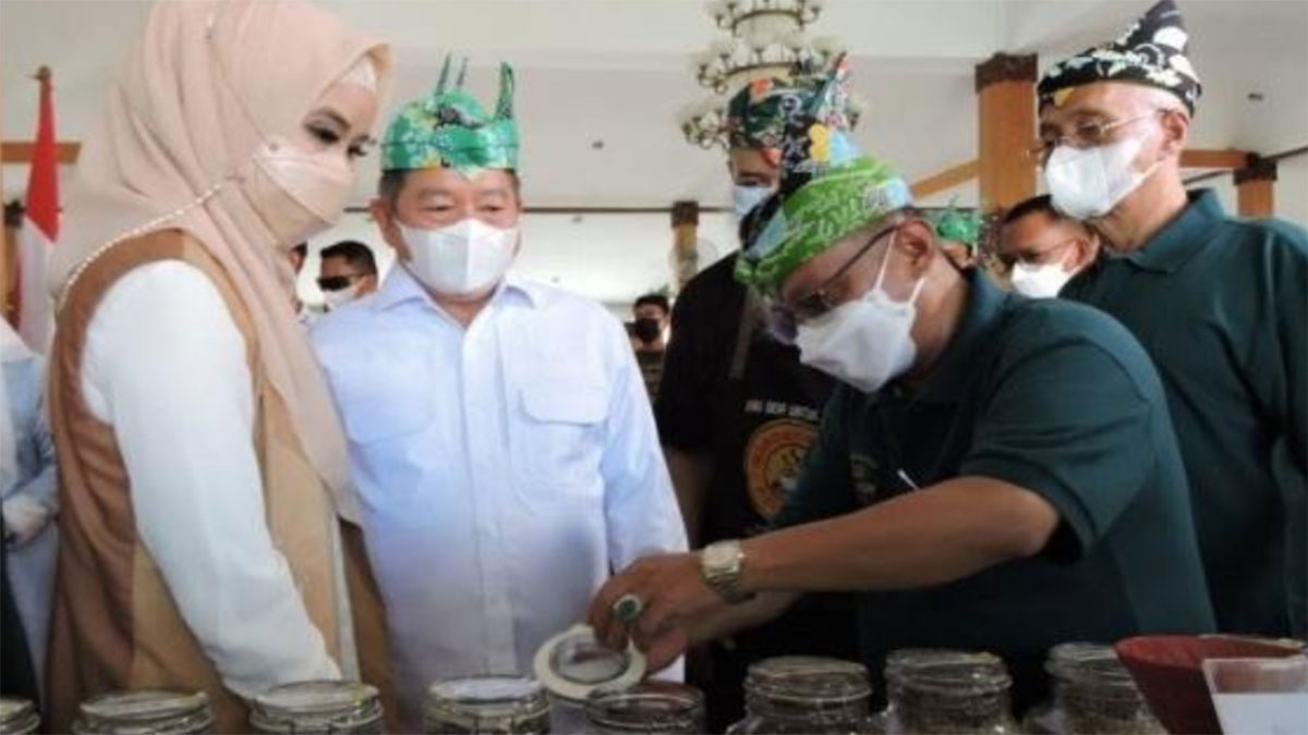 Dilaunching Bung Karna Harap Kopi Kayu Mas Dongkrak Ekonomi Situbondo Pdi Perjuangan Jawa Timur