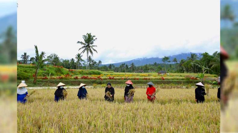 Dorong Pertanian Jadi Agrowisata, Puan: Keunggulan Pariwisata Indonesia ...