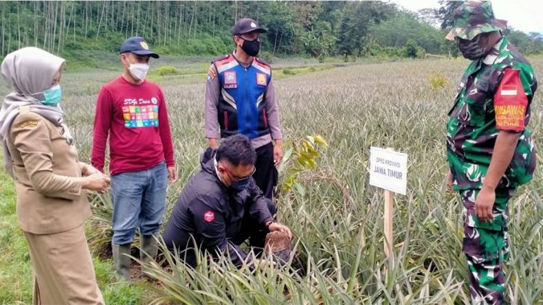 Inisiasi Wisata Baru di Lereng Kelud, Heri Setiawan Tanam Seribu Bibit ...