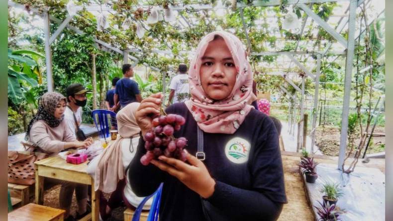 Milenial Ngawi Kreatif, Sulap Kebun Nganggur jadi Wisata Petik Anggur