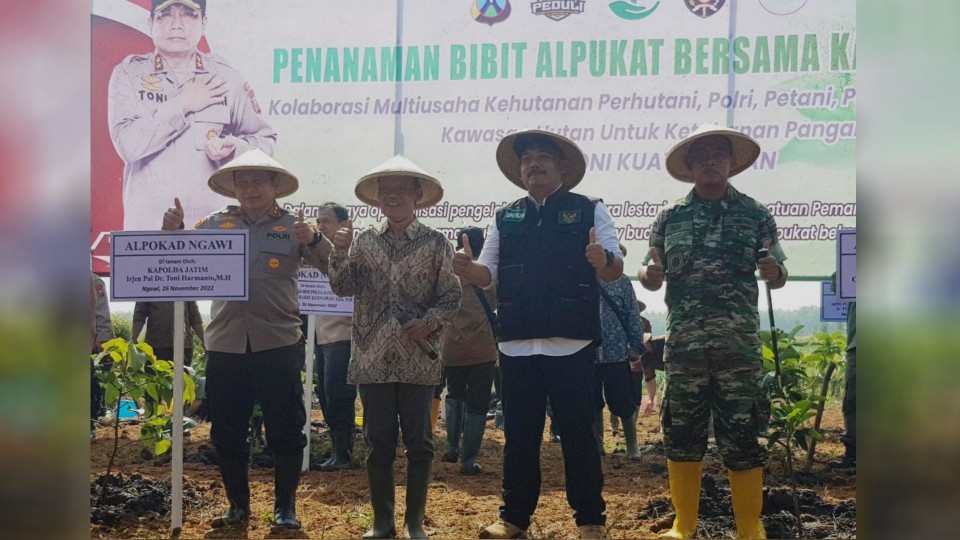 Puluhan Tahun Kolaborasi Perhutani-Rakyat Kelola Hutan Begal Di Ngawi ...