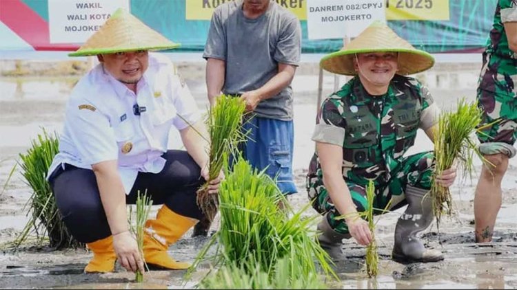 pdip-jatim-250425-tanam-padi-serentak-moker
