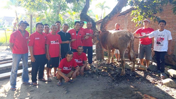 pdip-jatim-250606-sapi-kurban-madiun-kab