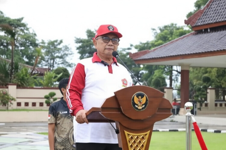 pdip-portal-1771035837311