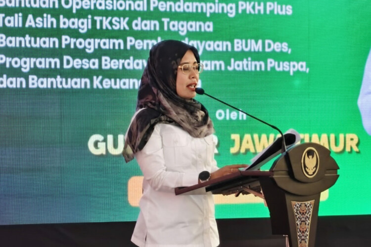 pdip-portal-1772429979227