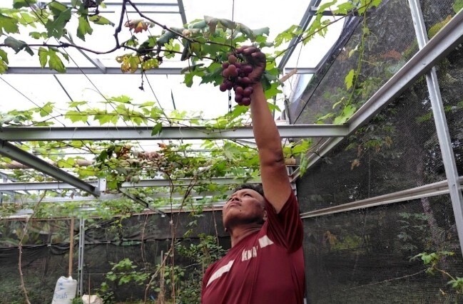 IMG-20260415-WA0005_copy_649x427