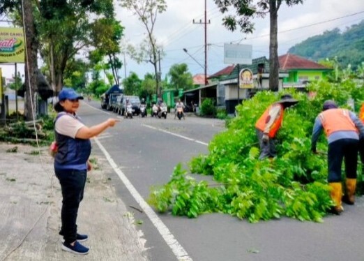 IMG-20260415-WA0011_copy_522x374