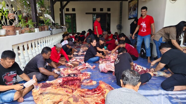 pdip jatim 260517 sembelih sapi kota kediri 1