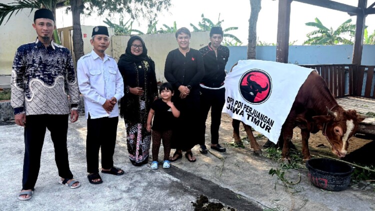 pdip jatim 260526 sapi dpd di lamongan 1