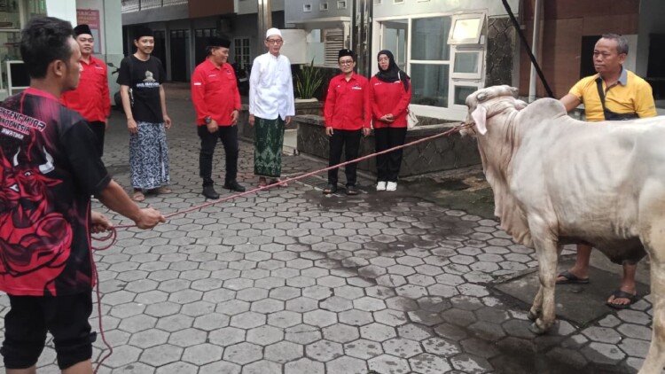 pdip jatim 260526 sapi jember