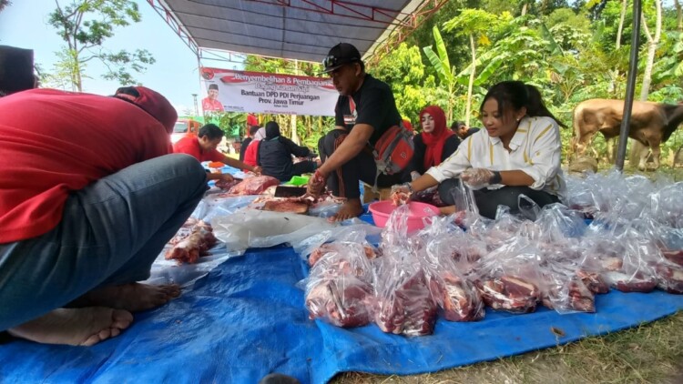 pdip jatim 260526 sembelih sapi blitar kab 2