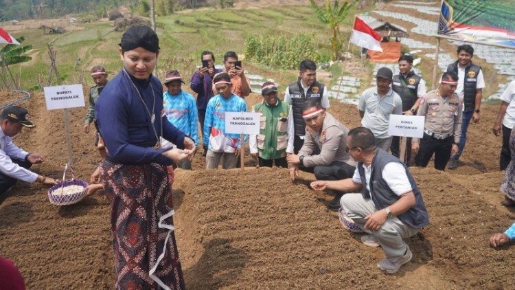 pdip jatim 260820 bawang nggalek